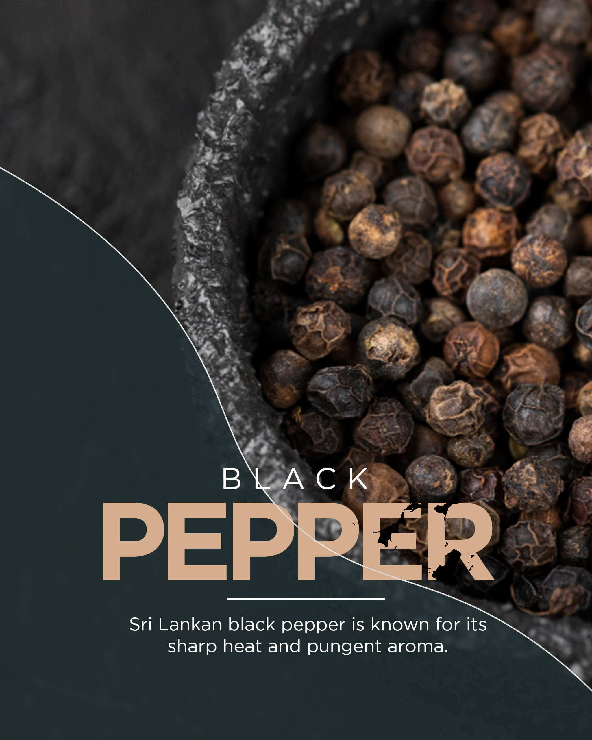 Pepper